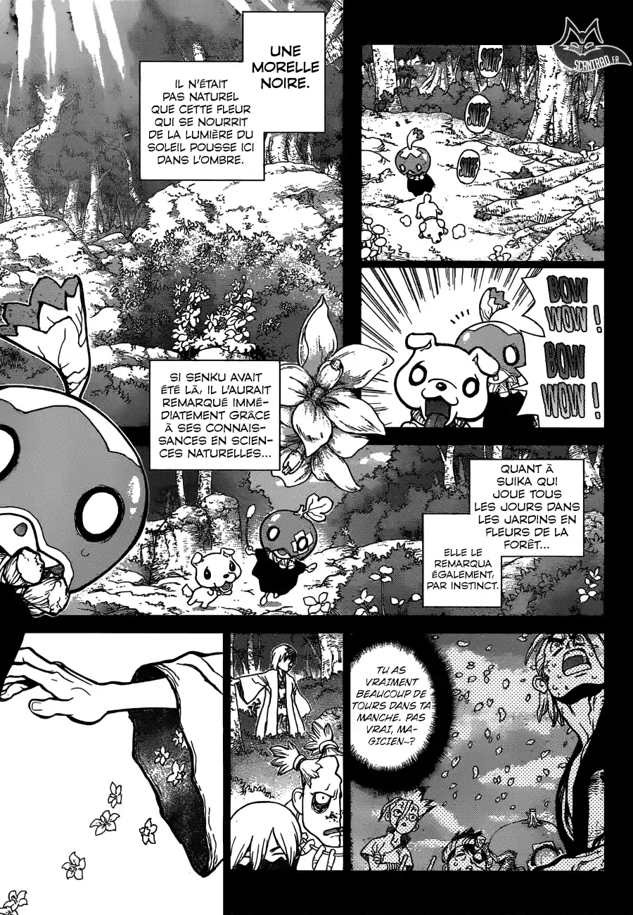 Read Dr. Stone FR Manga Online