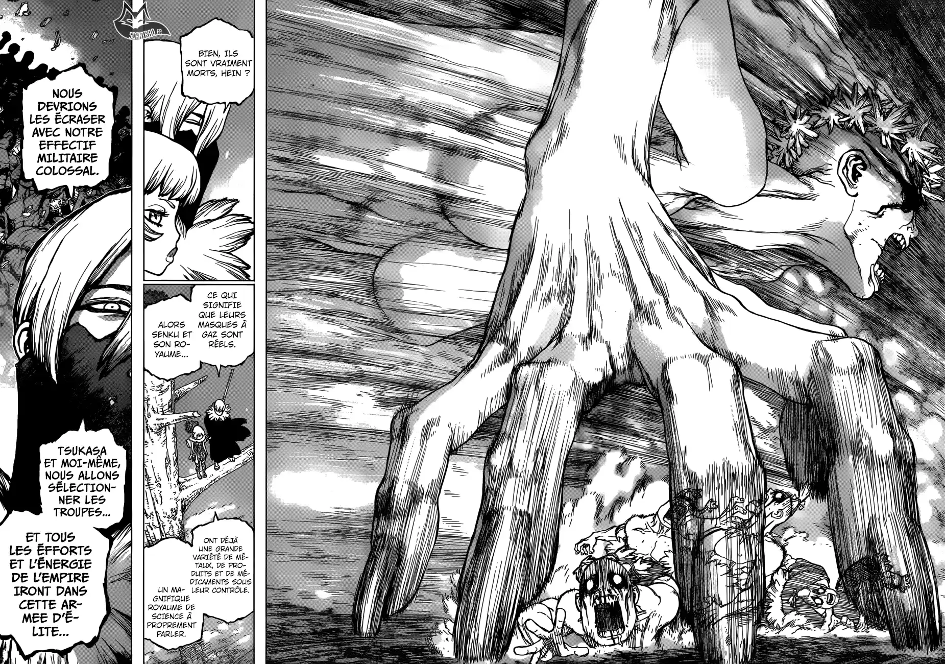Read Dr. Stone FR Manga Online