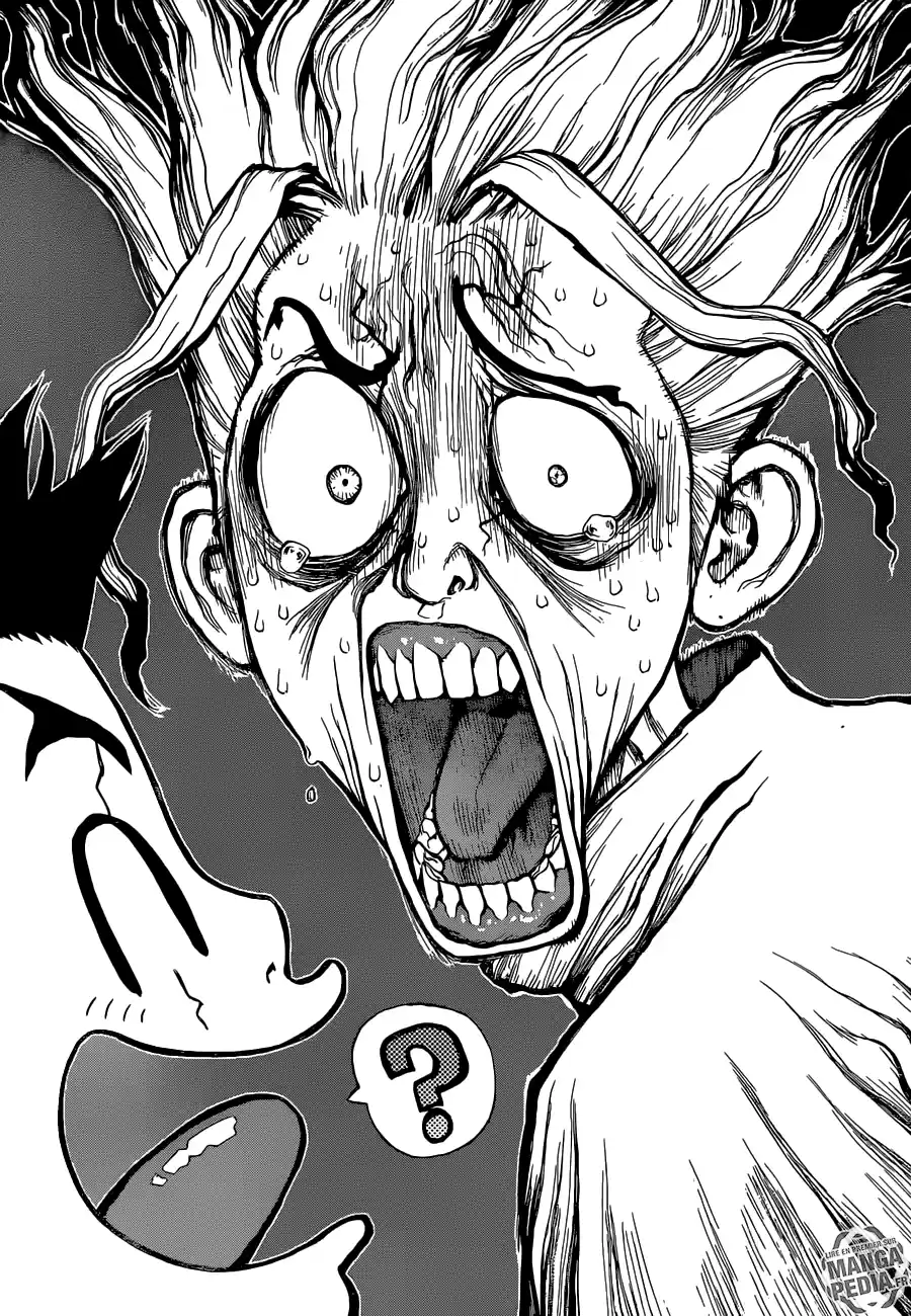 Read Dr. Stone FR Manga Online