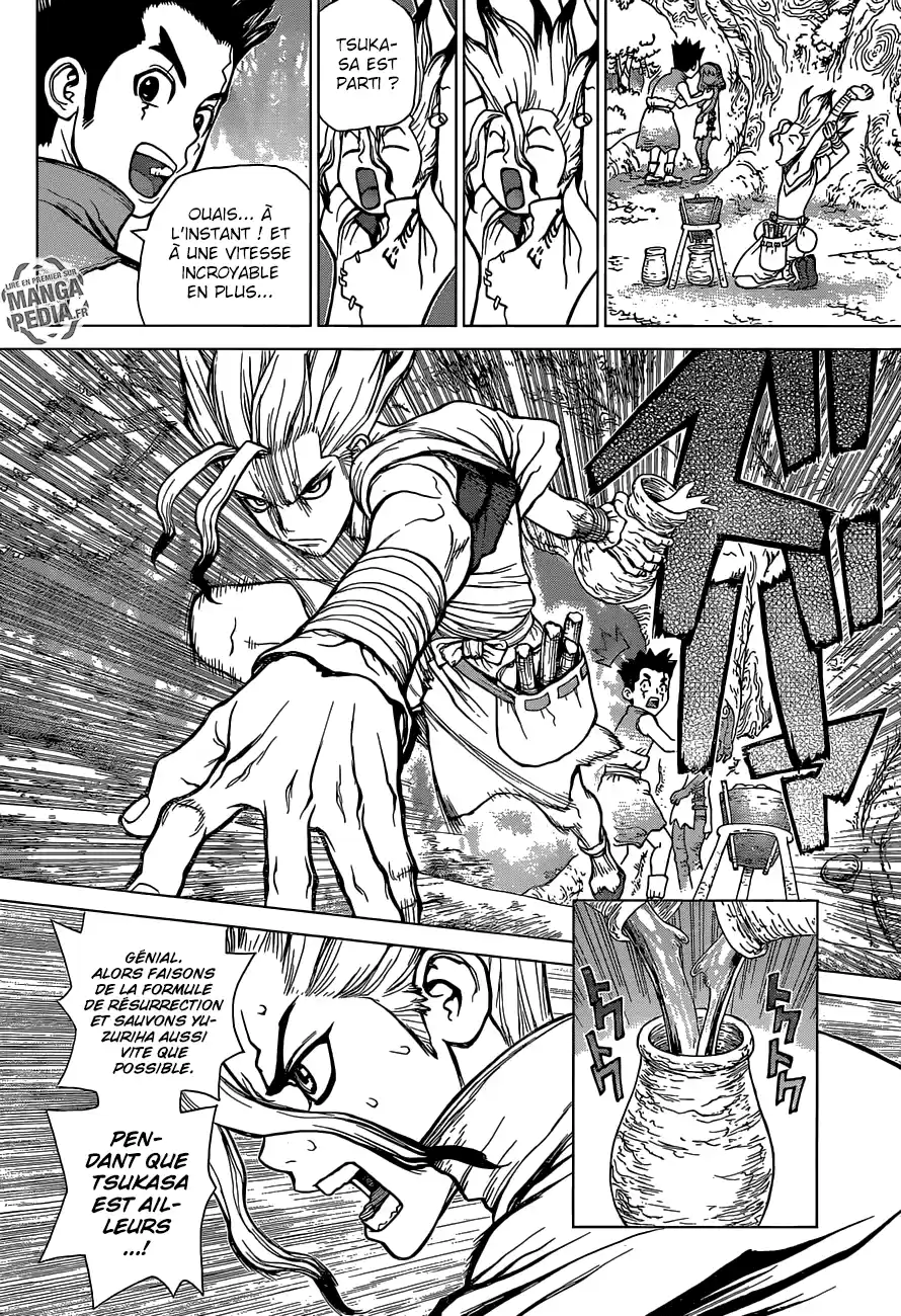 Read Dr. Stone FR Manga Online