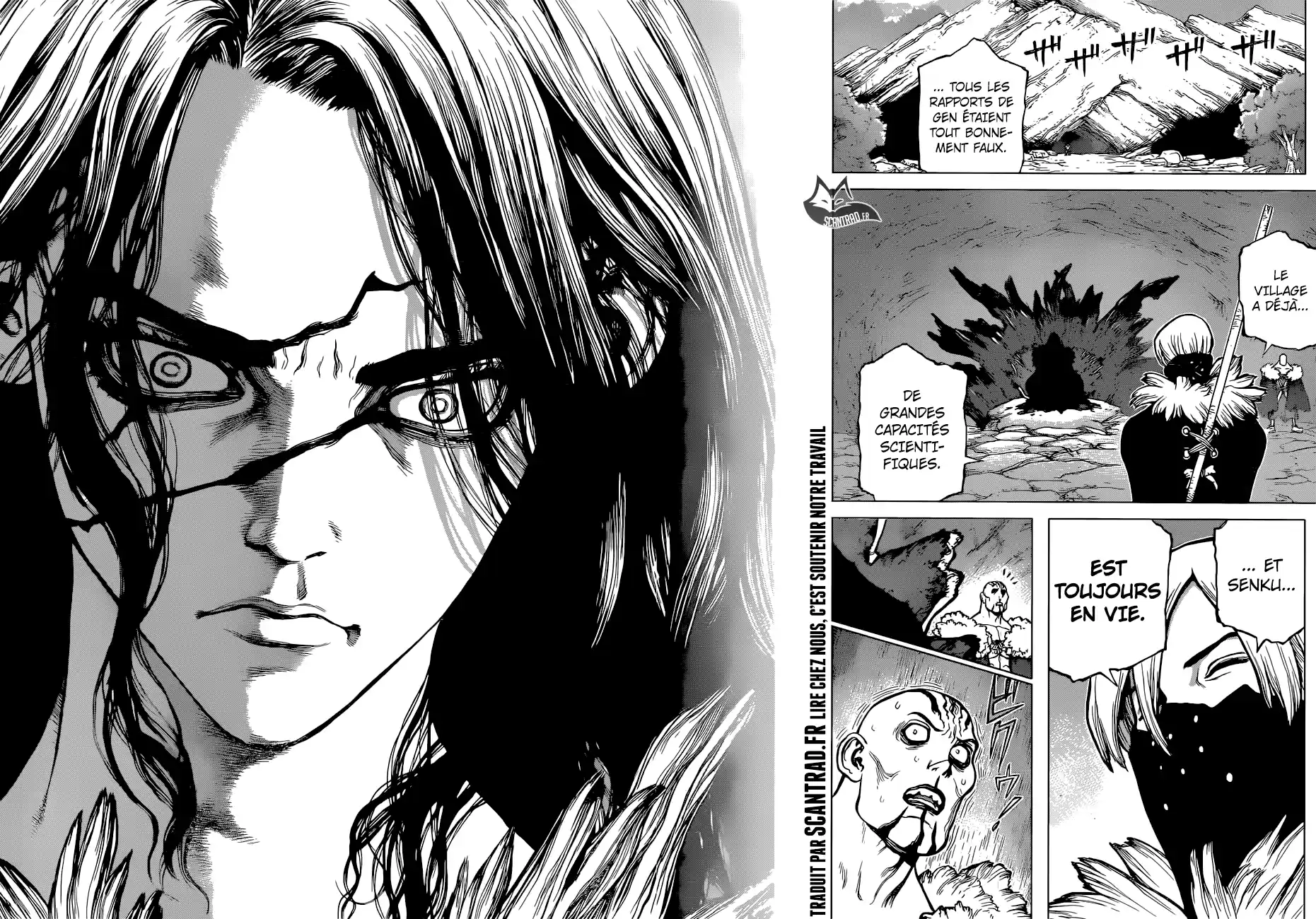 Read Dr. Stone FR Manga Online