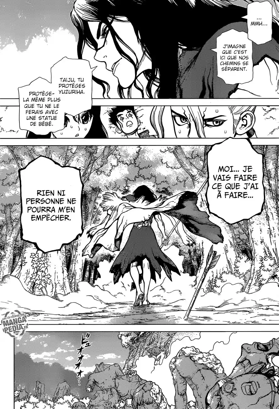 Read Dr. Stone FR Manga Online
