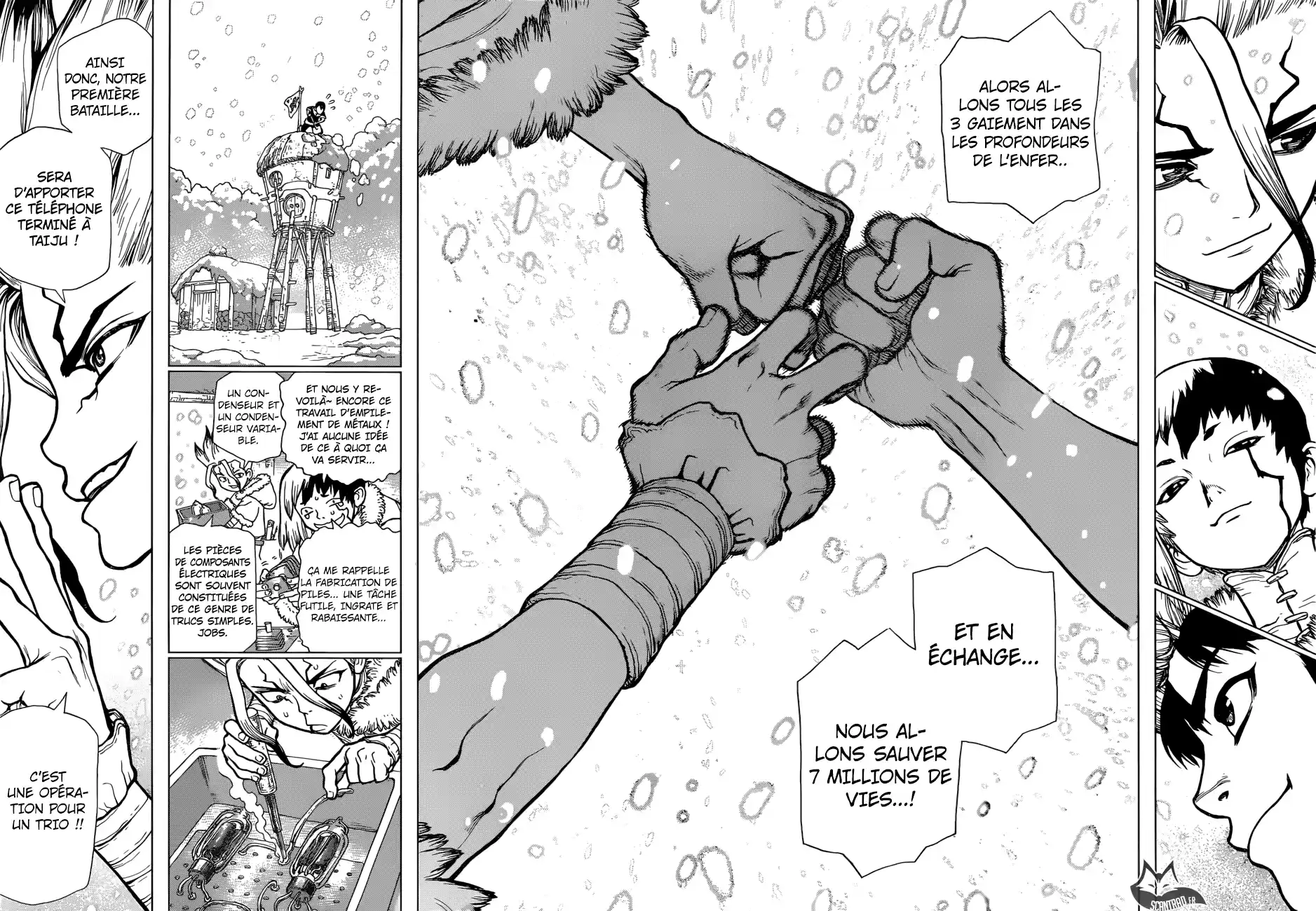 Read Dr. Stone FR Manga Online