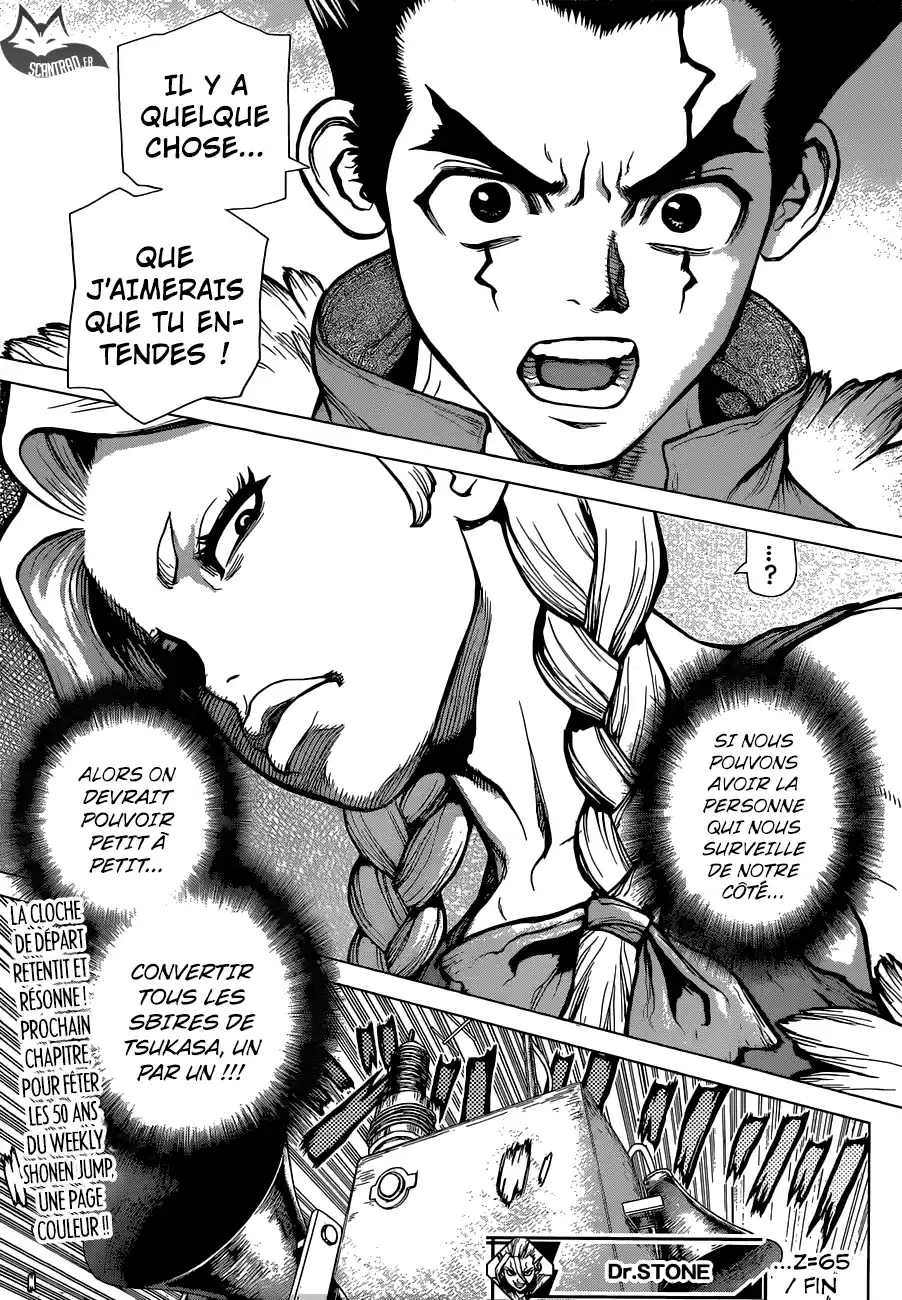 Read Dr. Stone FR Manga Online