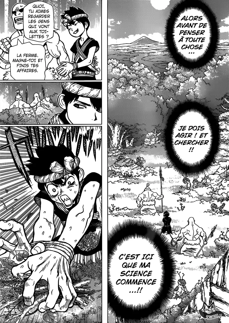 Read Dr. Stone FR Manga Online