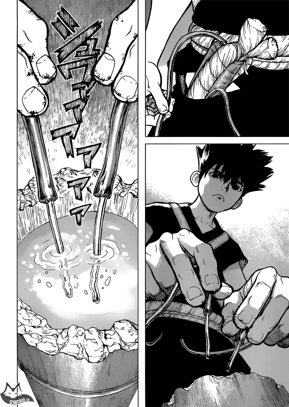 Read Dr. Stone FR Manga Online