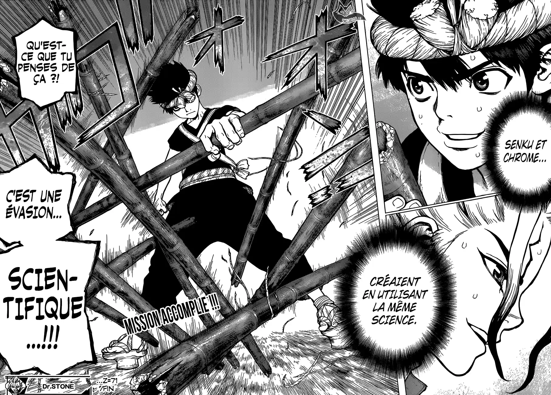 Read Dr. Stone FR Manga Online