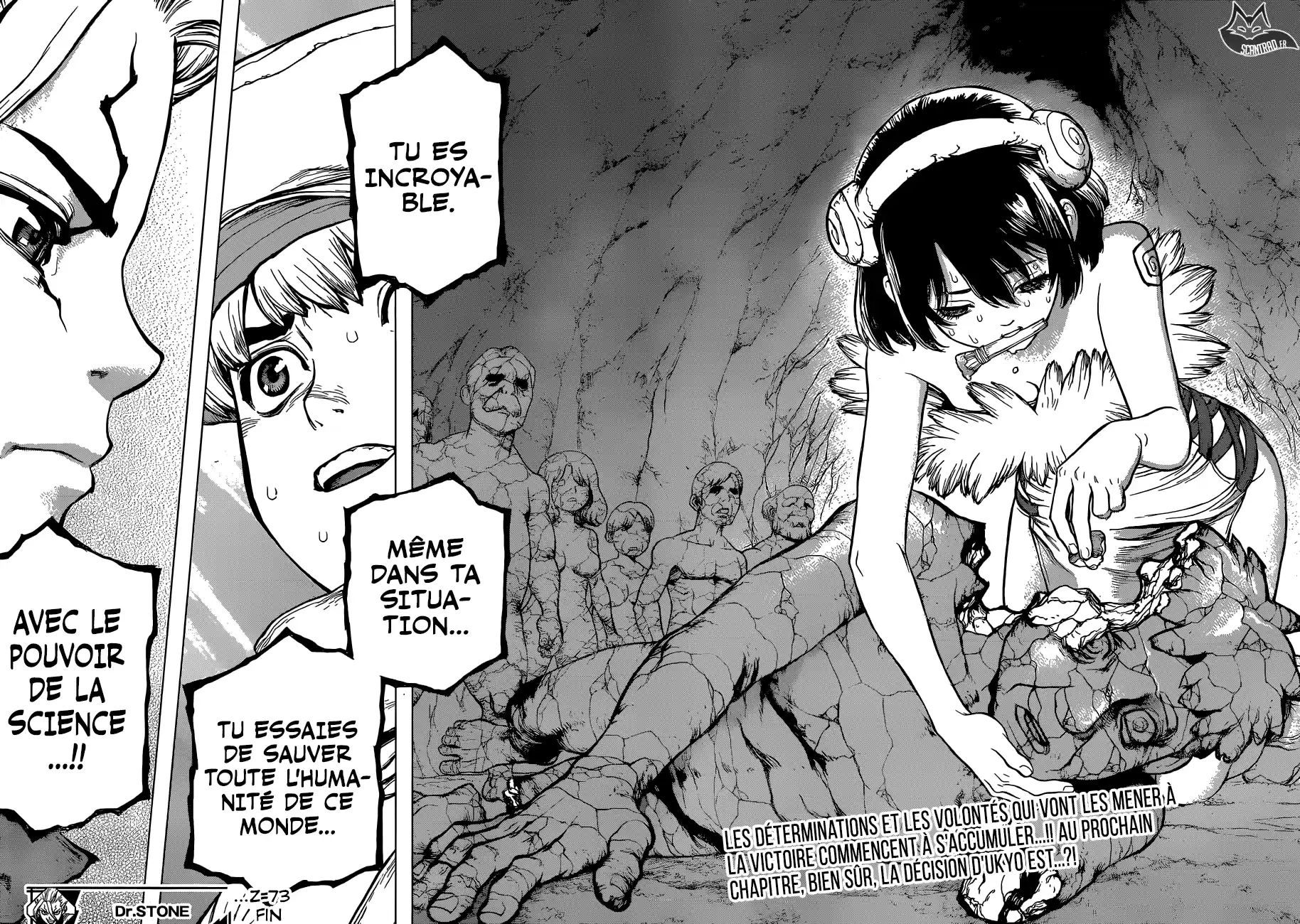 Read Dr. Stone FR Manga Online
