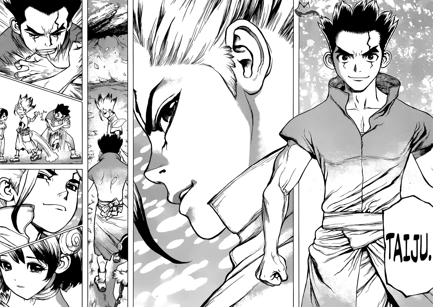 Read Dr. Stone FR Manga Online