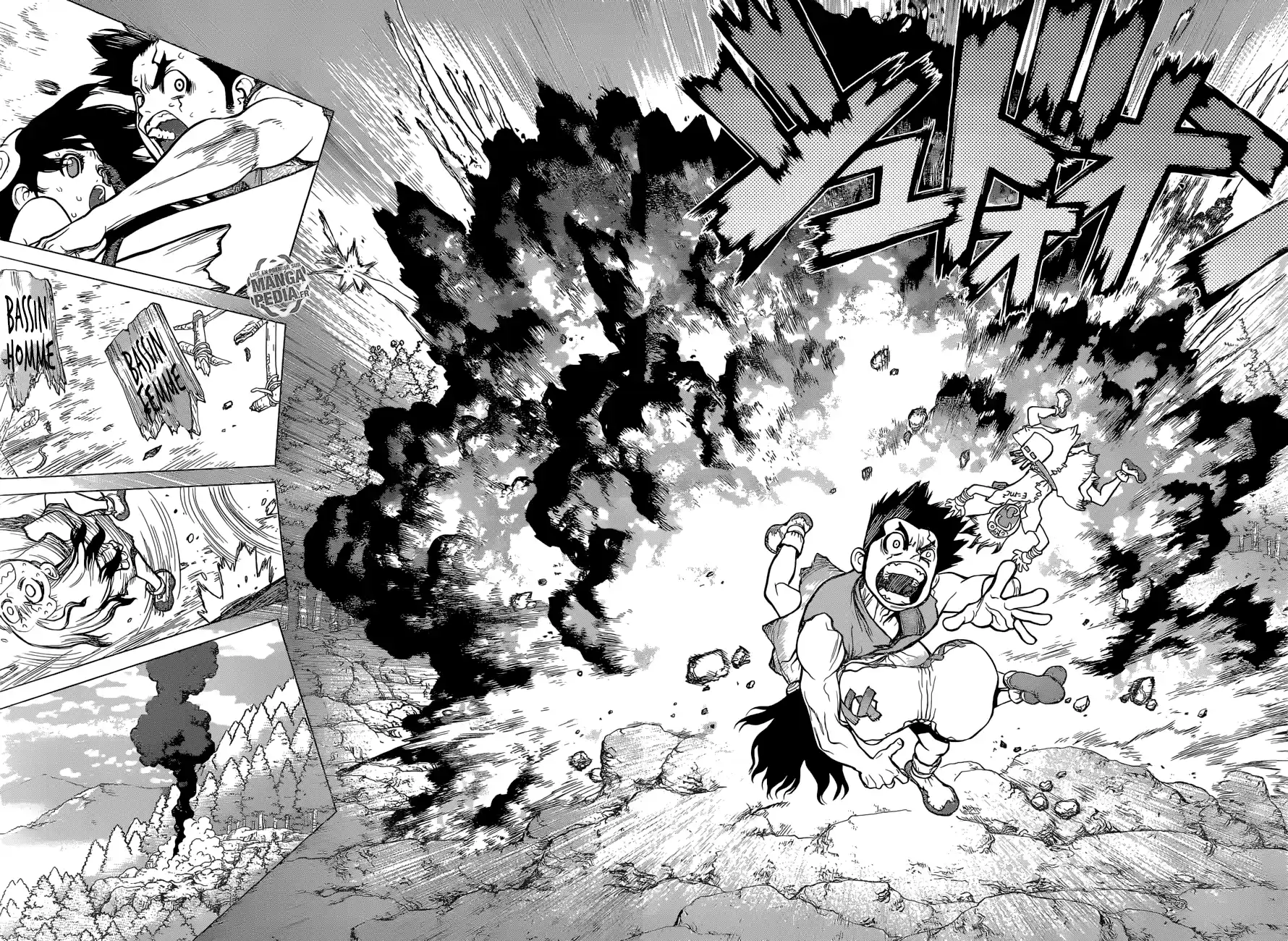 Read Dr. Stone FR Manga Online