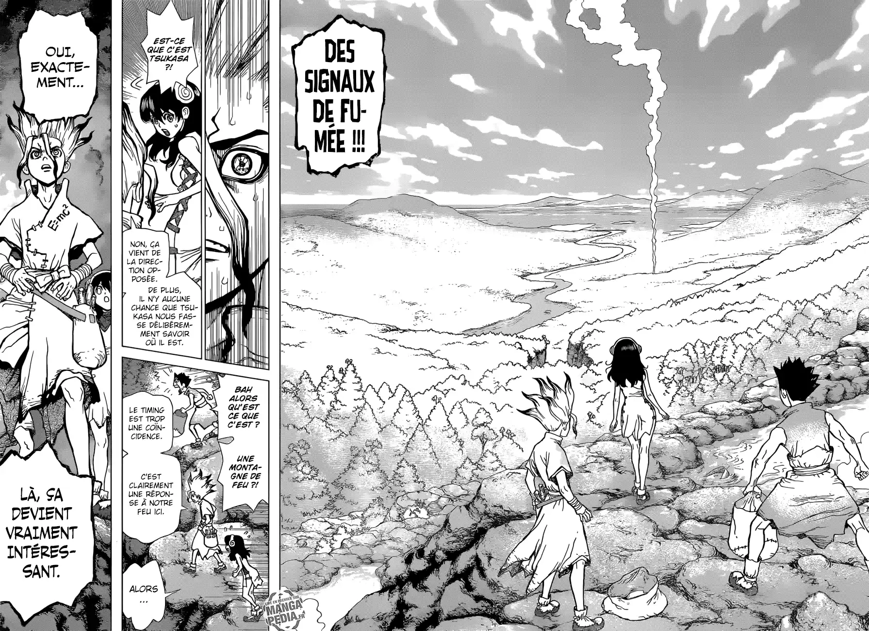 Read Dr. Stone FR Manga Online