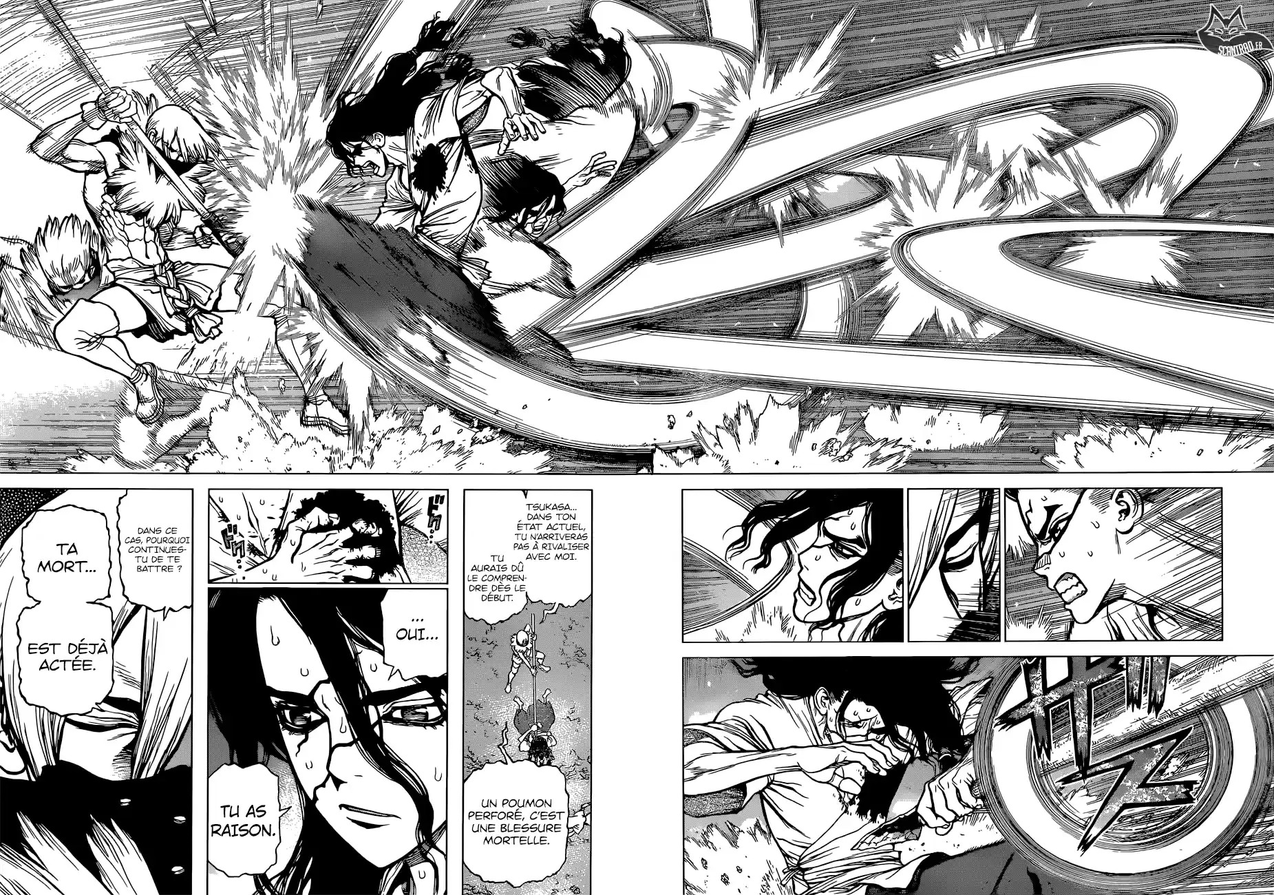 Read Dr. Stone FR Manga Online