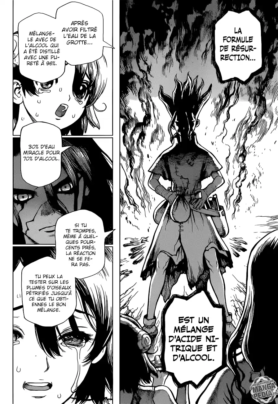 Read Dr. Stone FR Manga Online