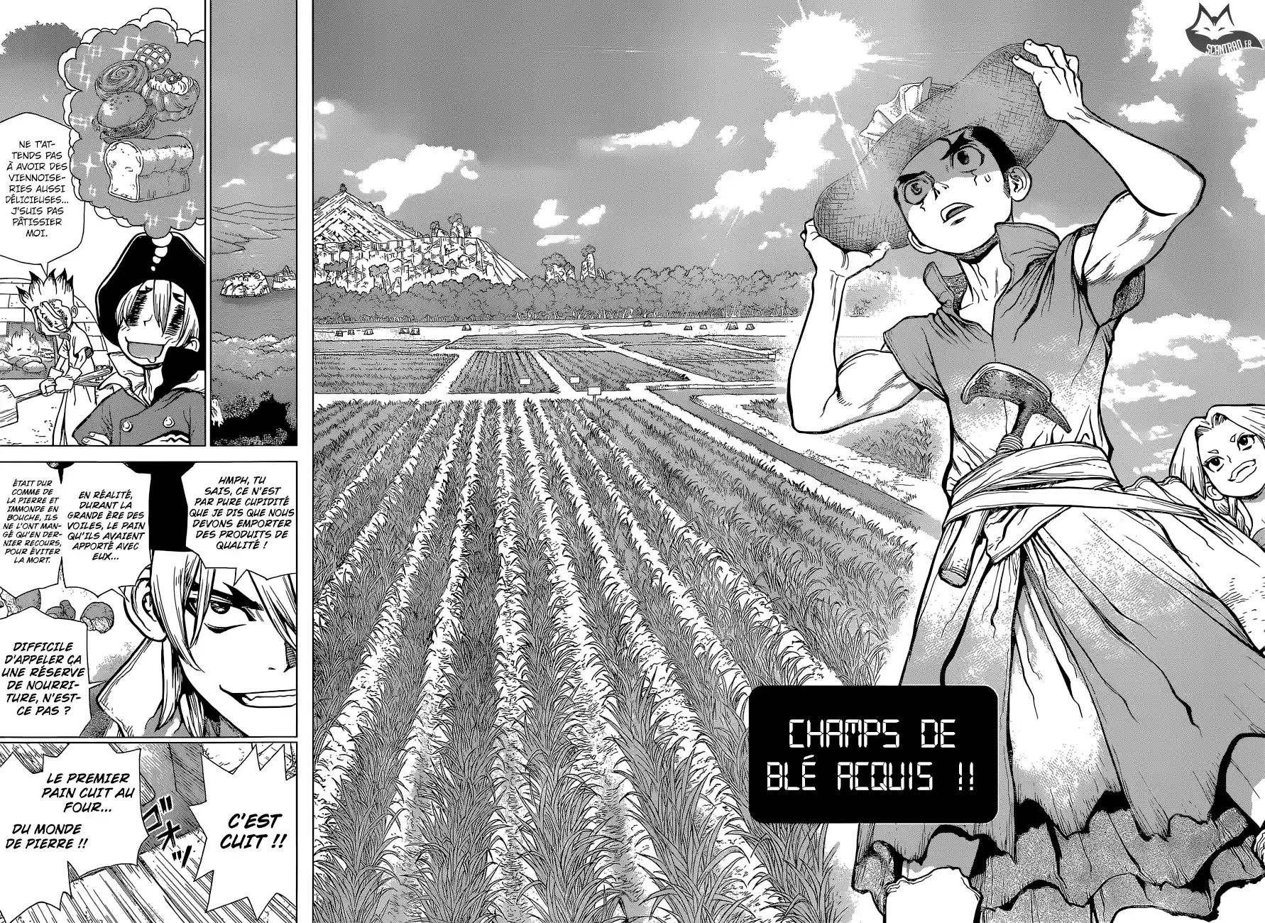 Read Dr. Stone FR Manga Online