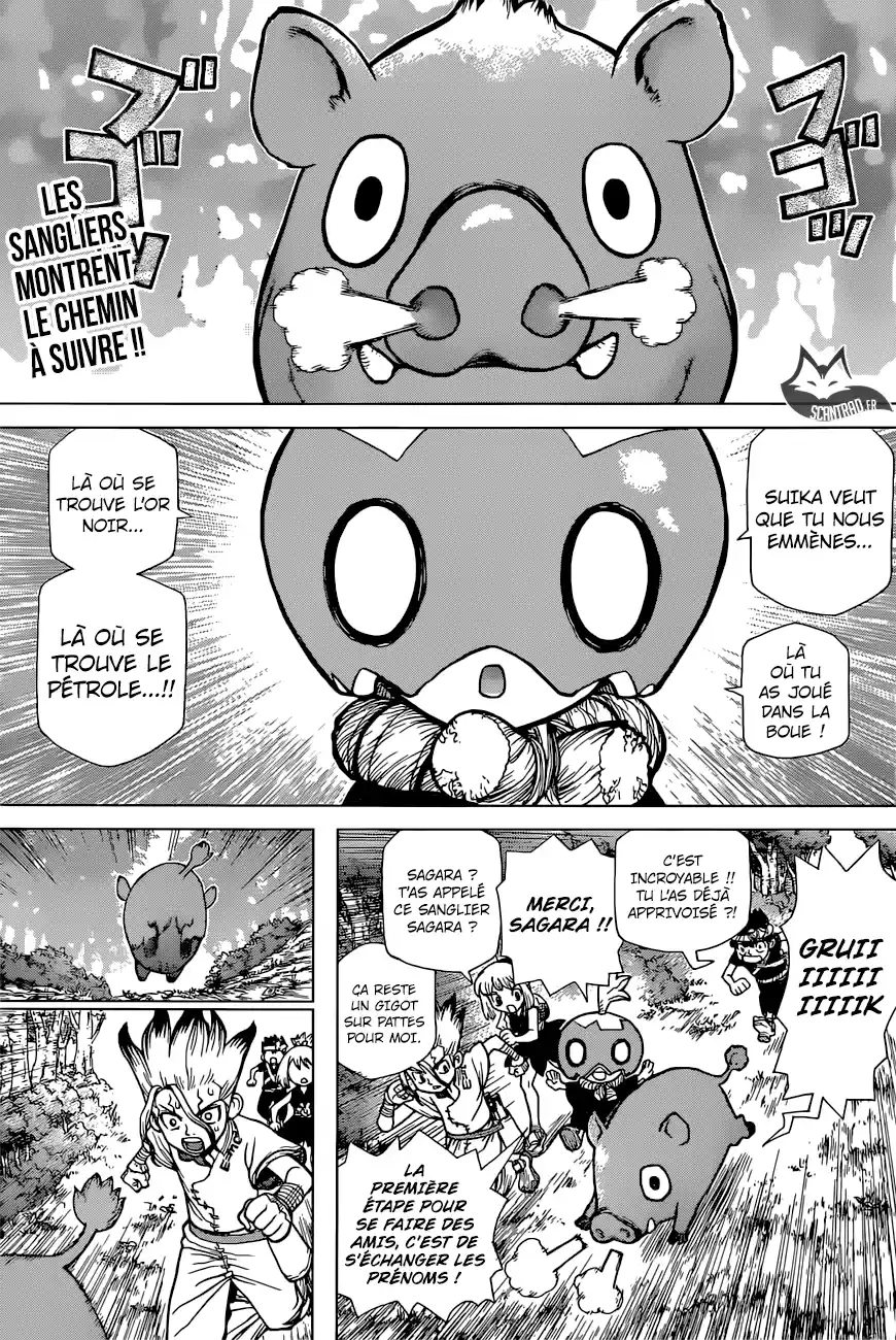 Read Dr. Stone FR Manga Online