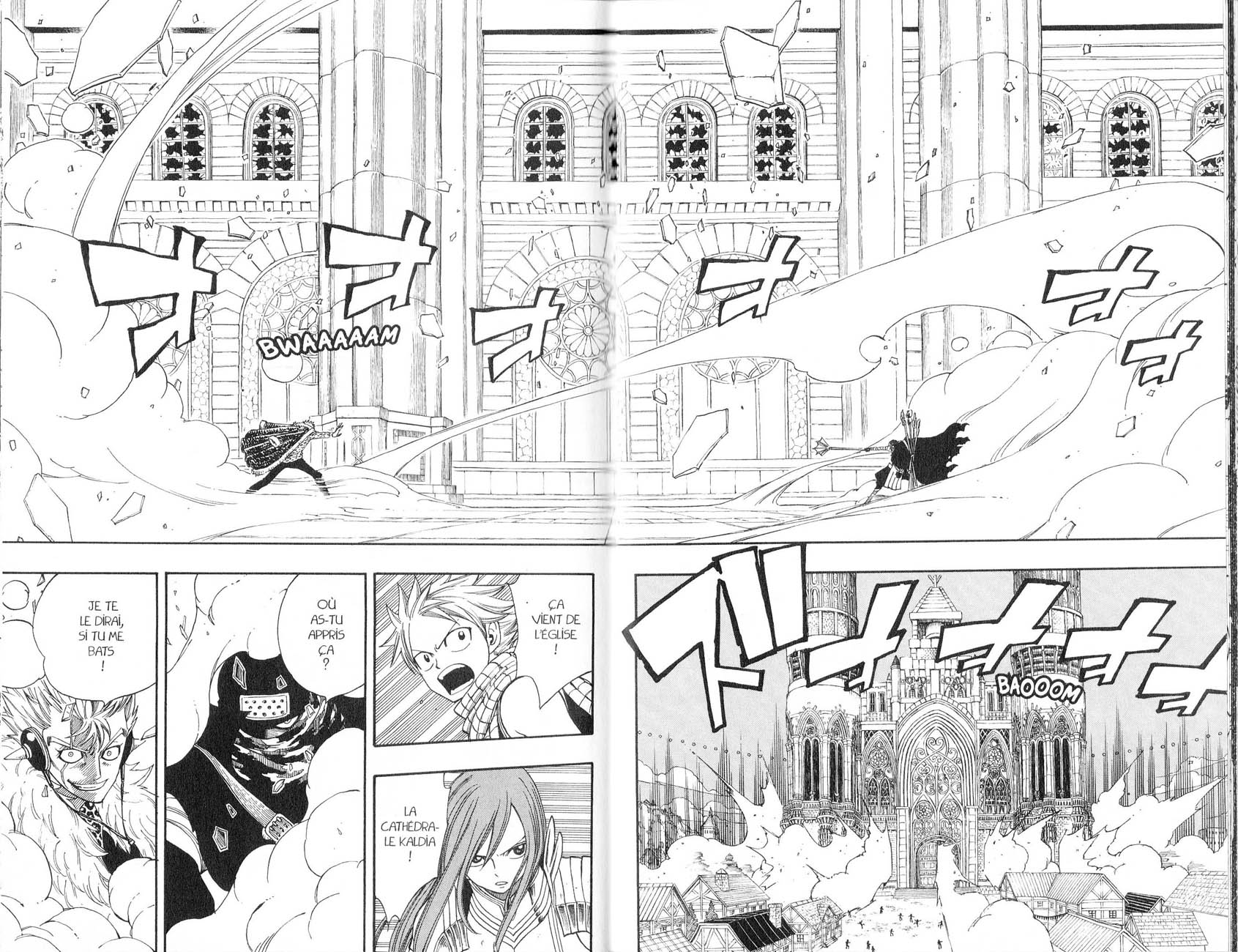 Read Fairy Tail FR Manga Online