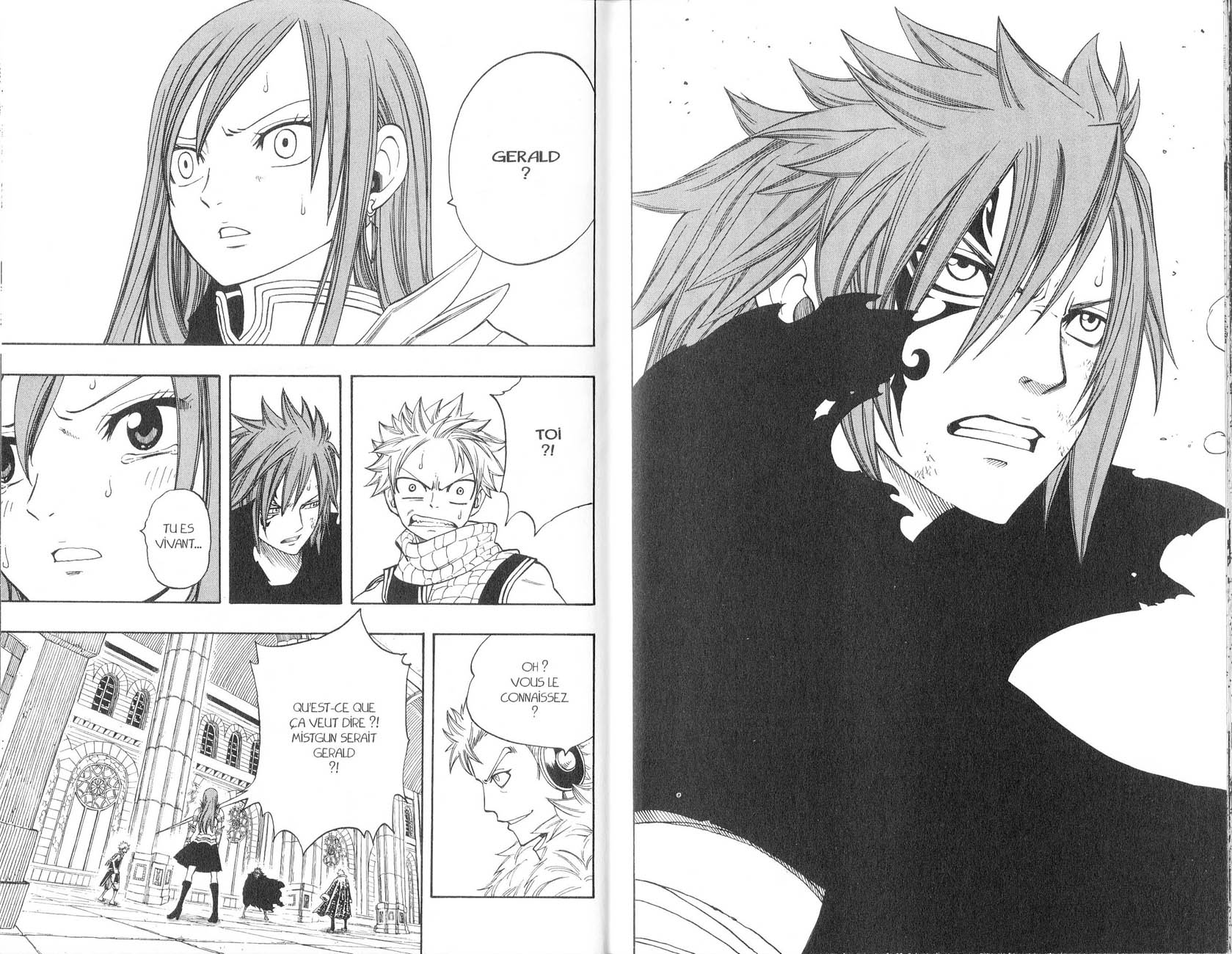 Read Fairy Tail FR Manga Online