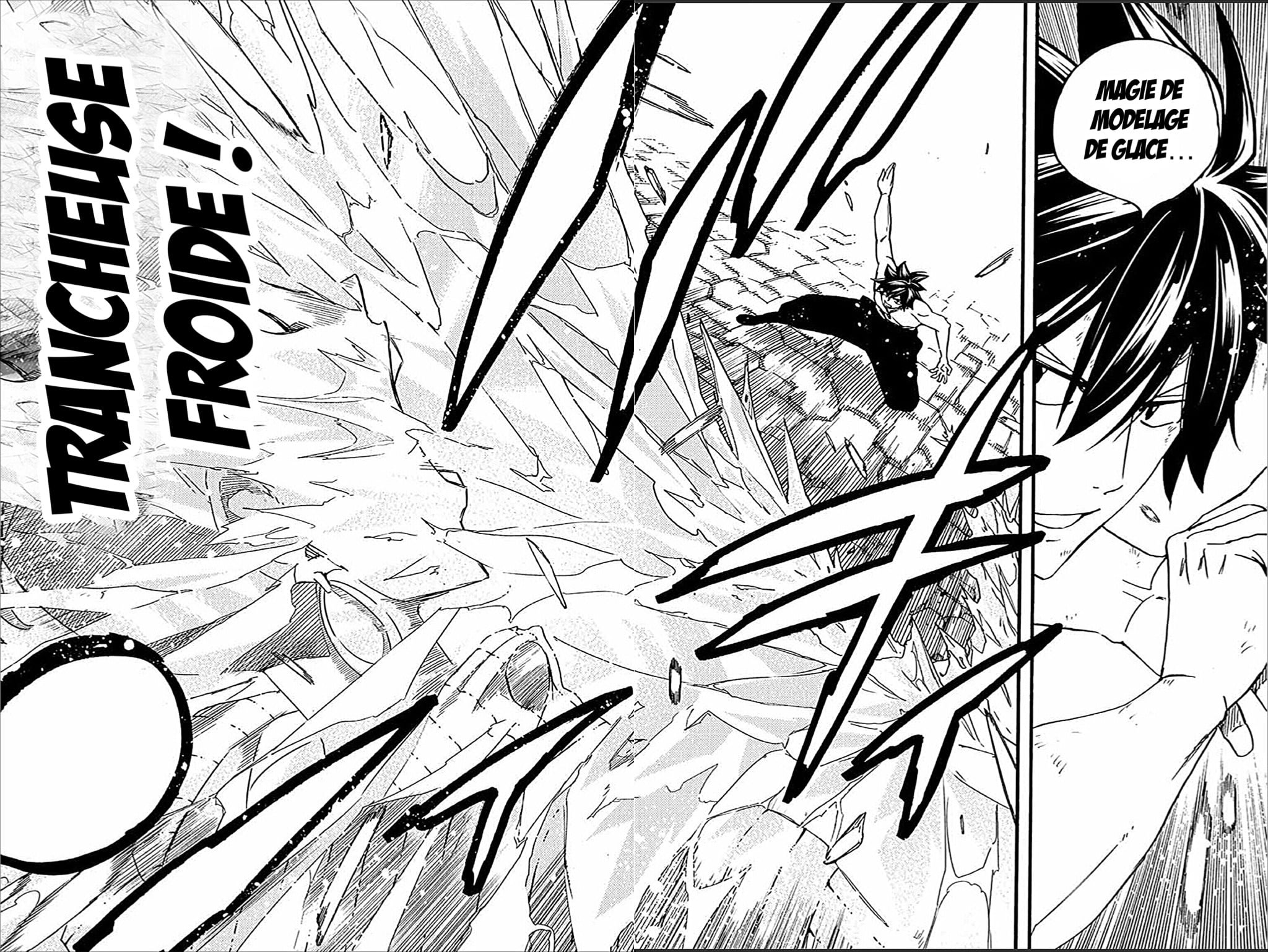 Read Fairy Tail_ 100 Years Quest FR Manga Online