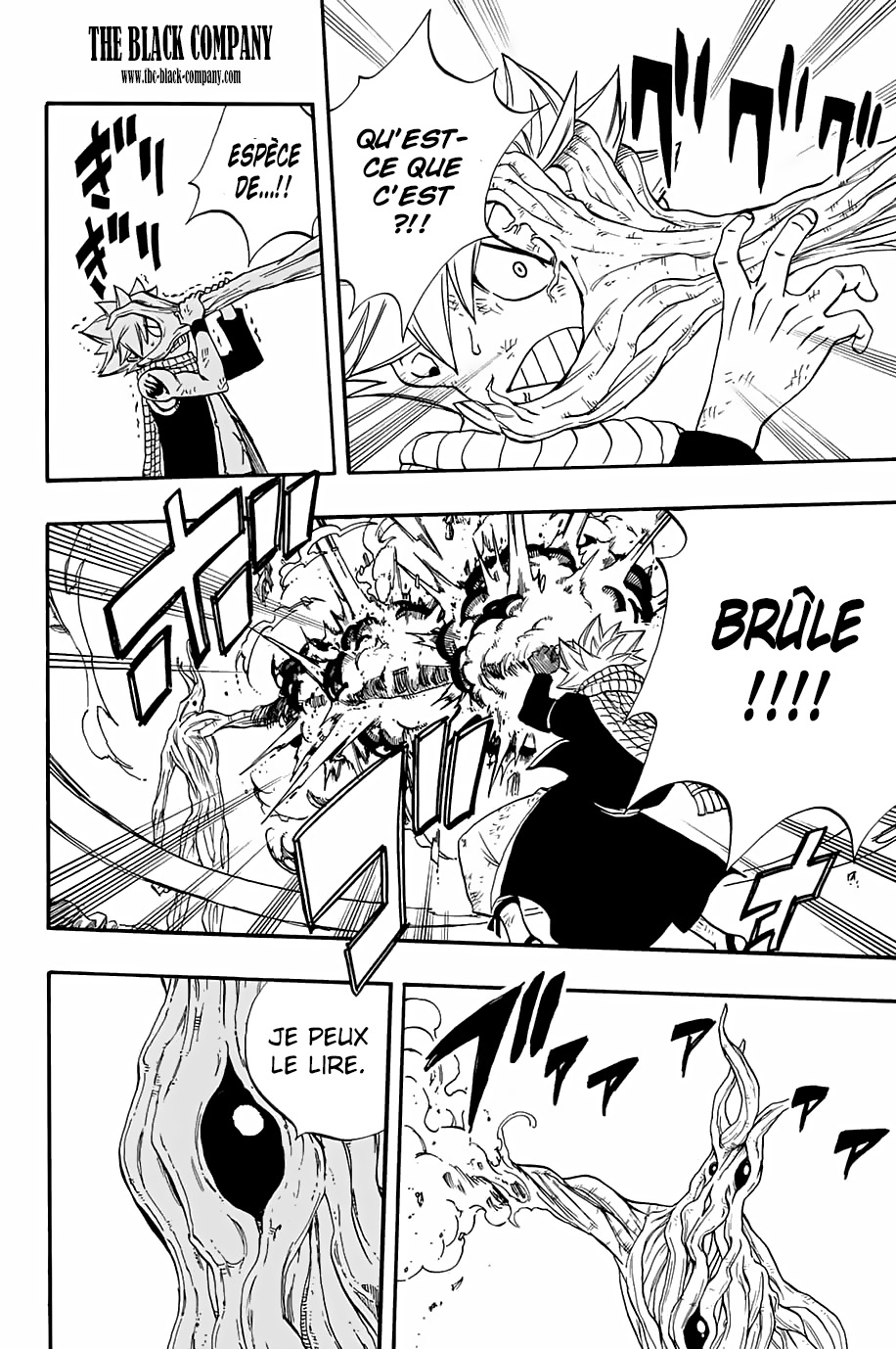 Read Fairy Tail_ 100 Years Quest FR Manga Online