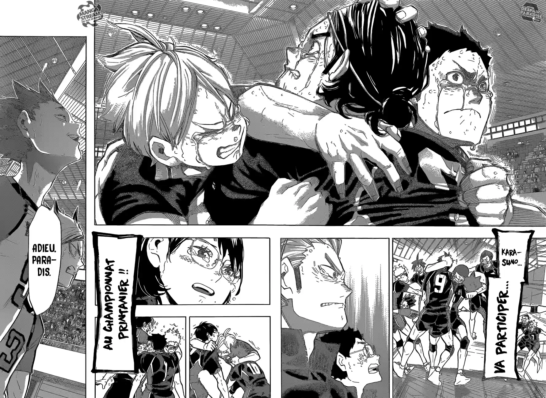 Read Haikyuu FR Manga Online