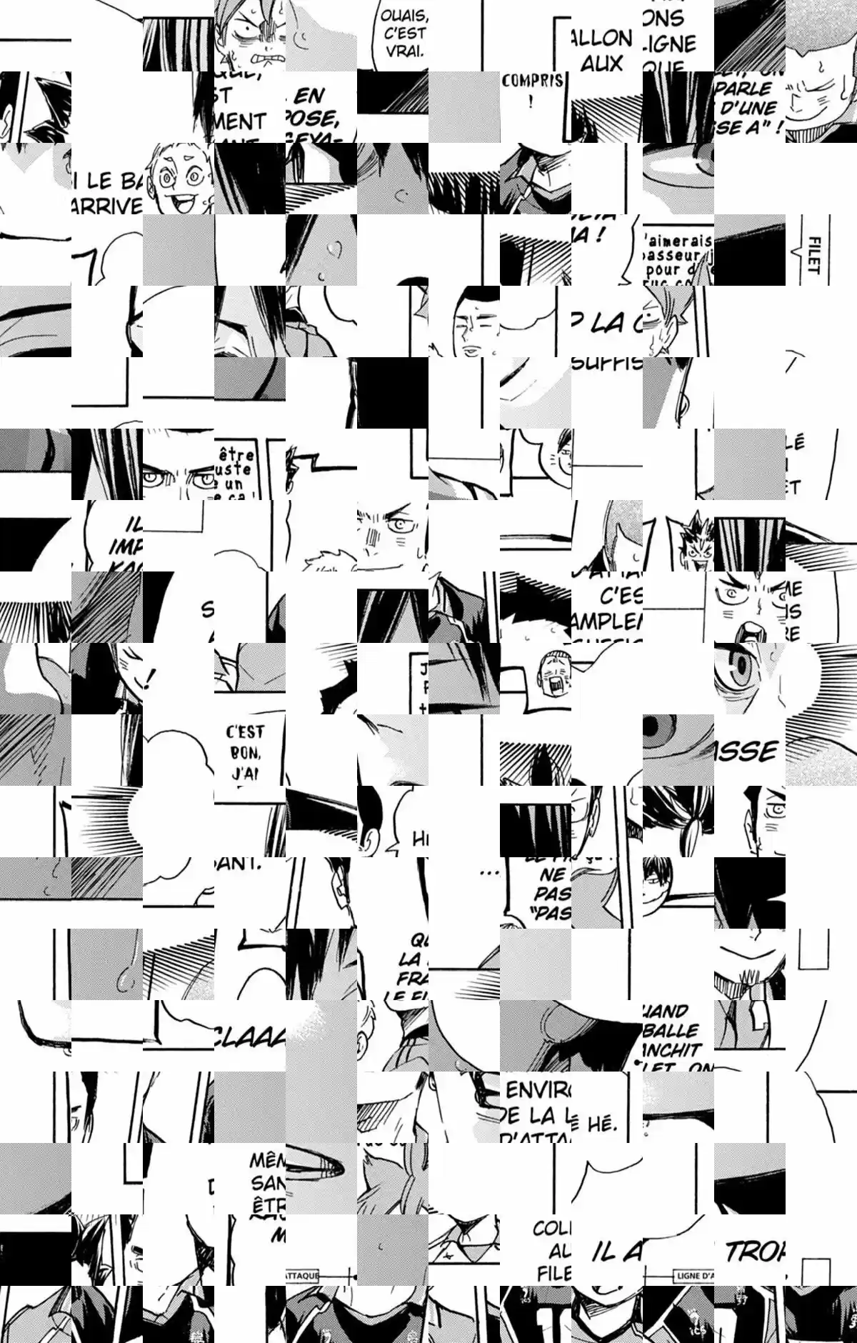 Read Haikyuu FR Manga Online