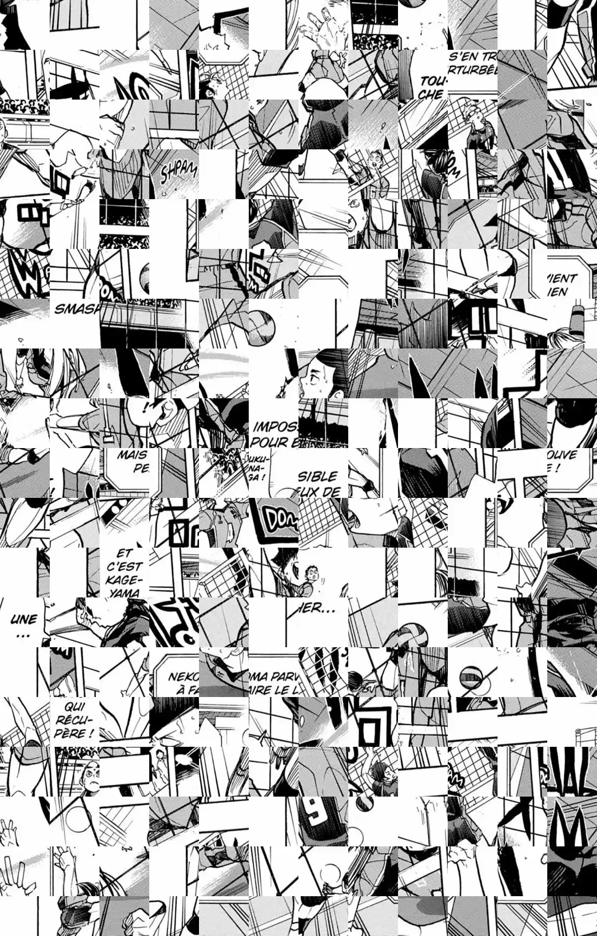 Read Haikyuu FR Manga Online