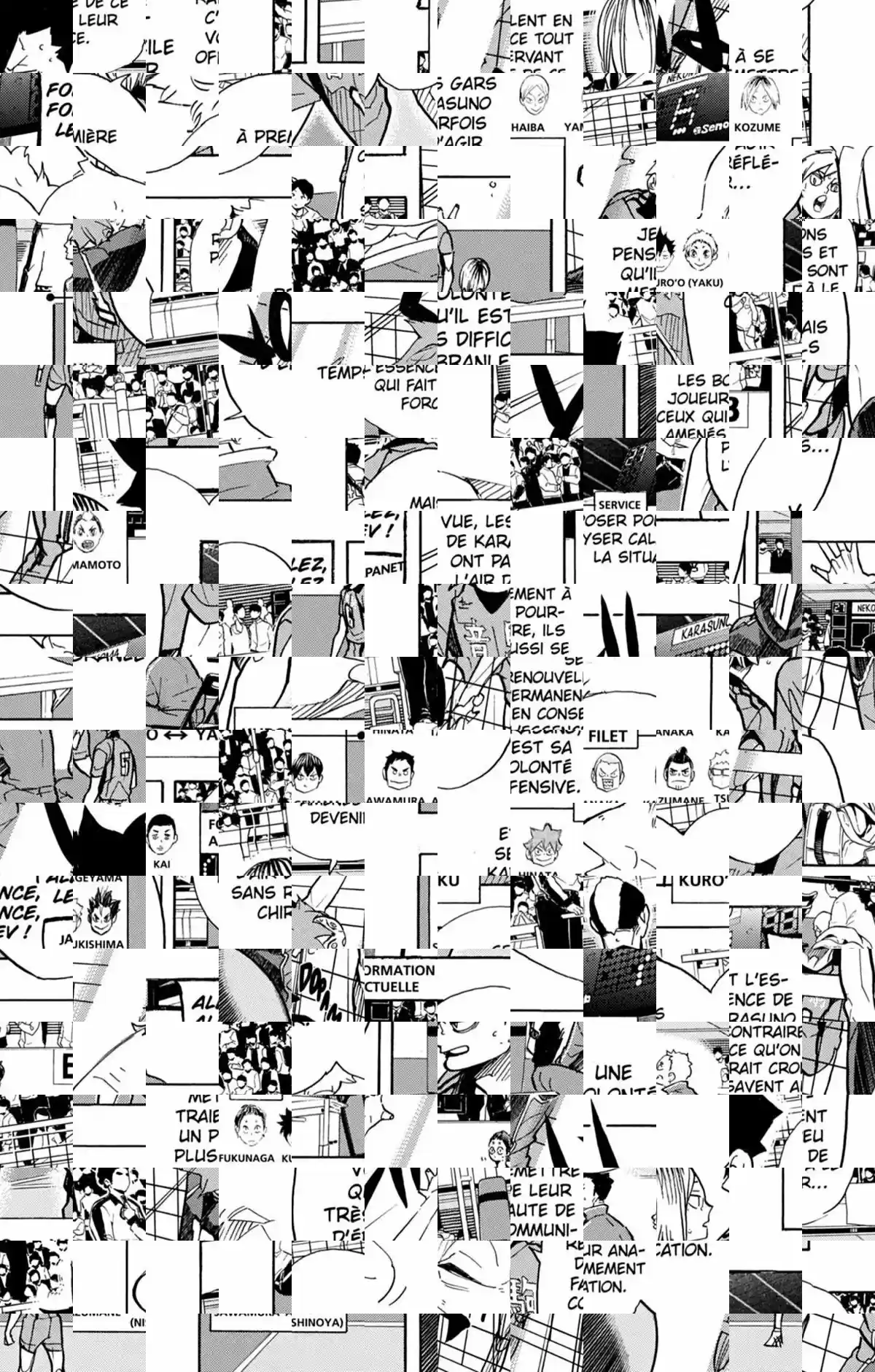 Read Haikyuu FR Manga Online