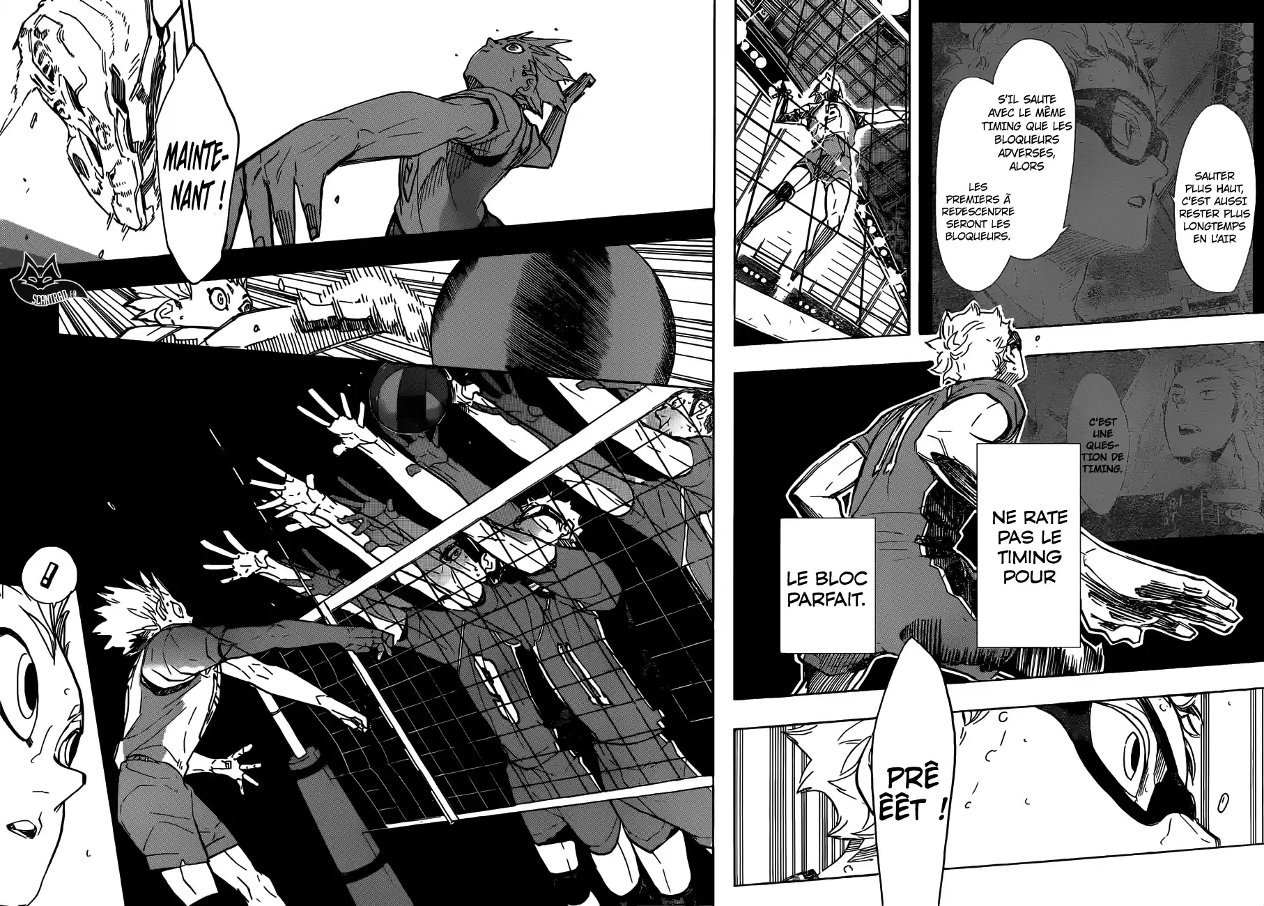 Read Haikyuu FR Manga Online