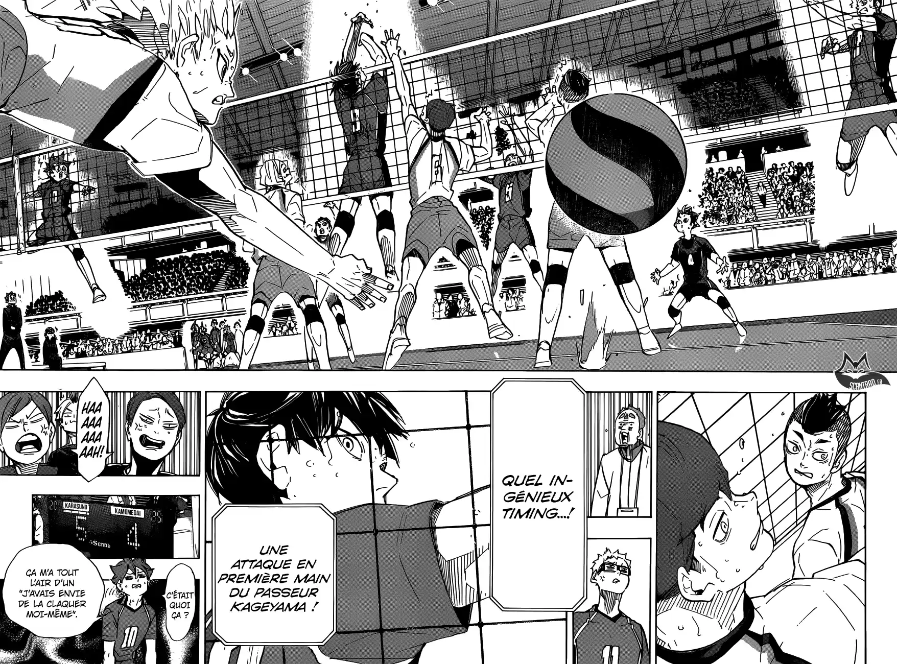 Read Haikyuu FR Manga Online