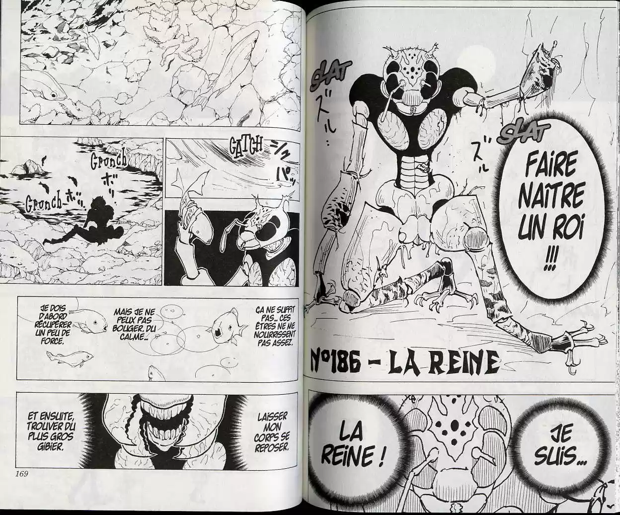 Read Hunter X Hunter FR Manga Online
