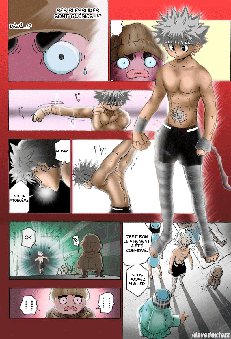 Read Hunter X Hunter FR Manga Online
