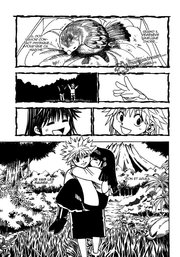 Read Hunter X Hunter FR Manga Online