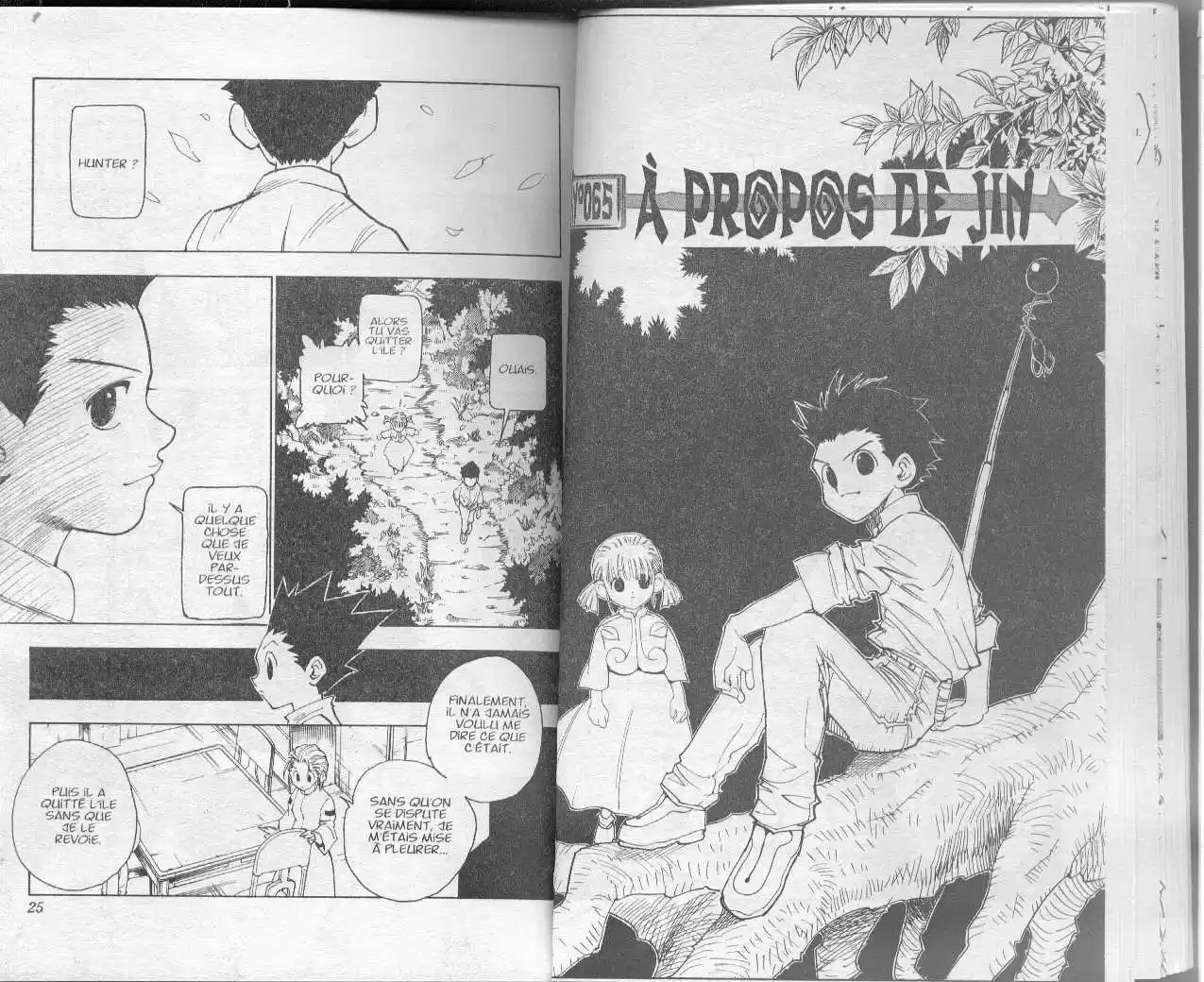 Read Hunter X Hunter FR Manga Online