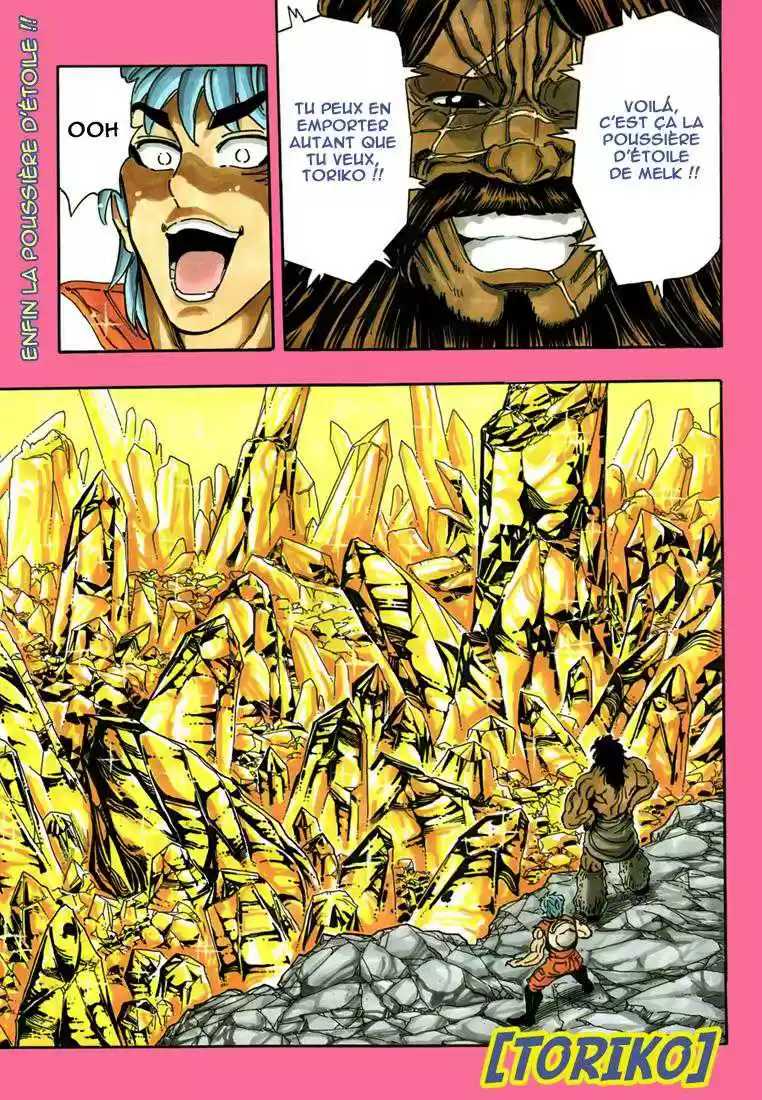 Read Toriko FR Manga Online