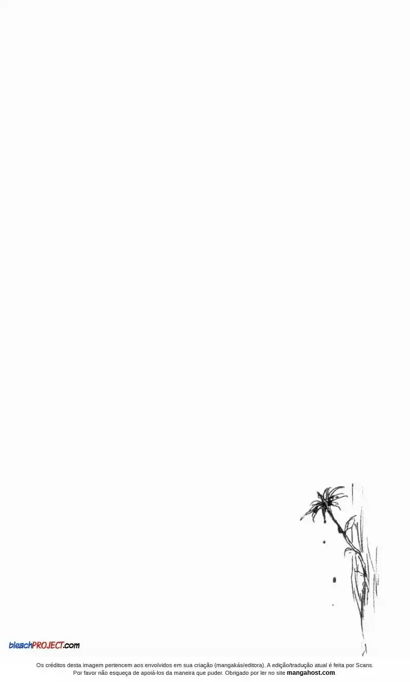 Read Bleach pt_BR Manga Online
