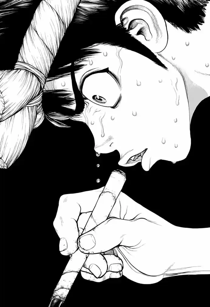 Read Dr. Stone pt_BR Manga Online