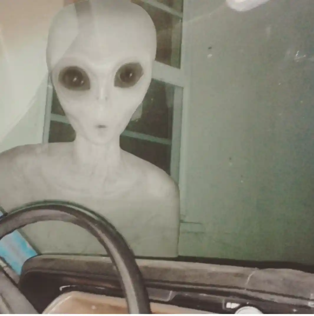 Read Grand Blue Dreaming pt_BR Manga Online